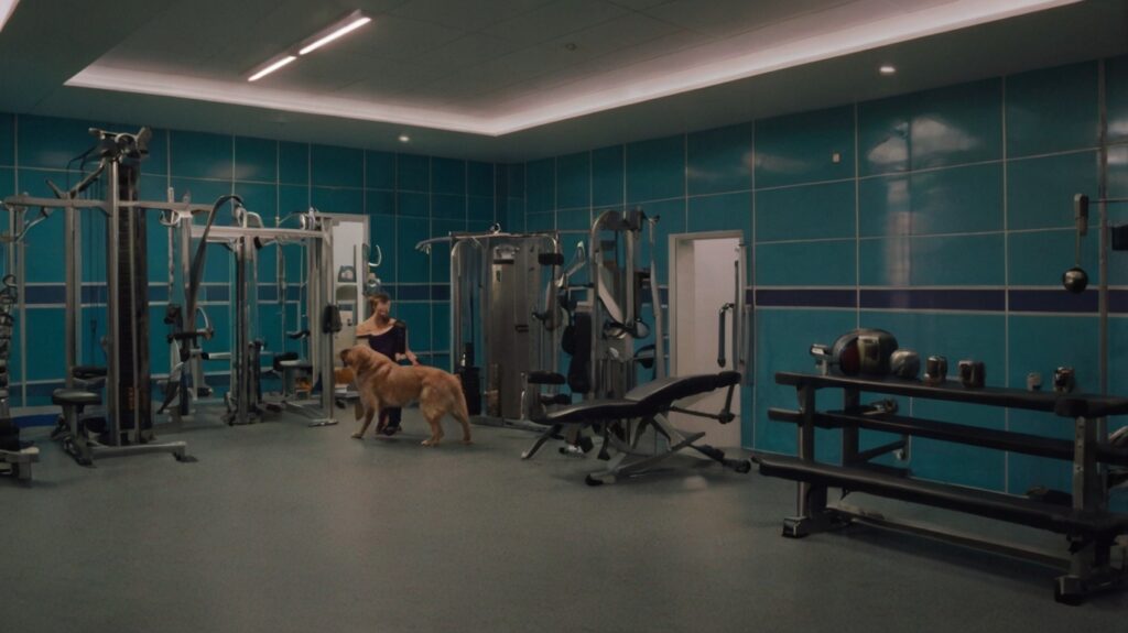 Is Pet Health Club Worth It?